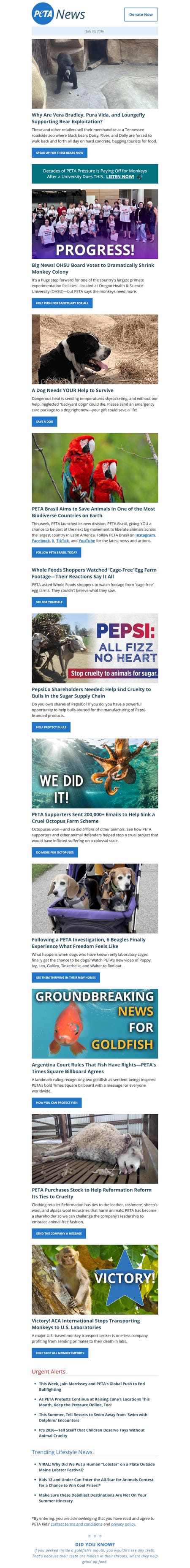 邮件模板创意 Peta 17