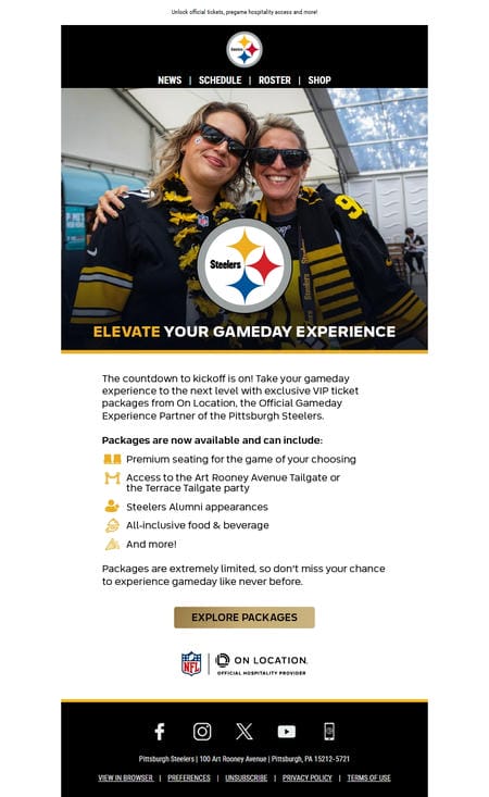 邮件模板创意 Pittsburgh Steelers Partner 32