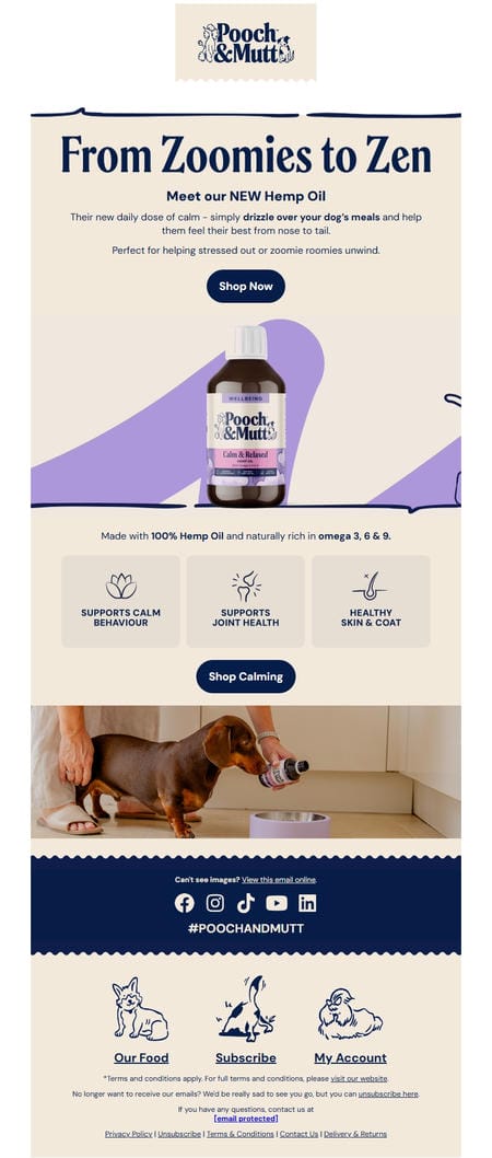 邮件模板创意 Pooch Mutt 70