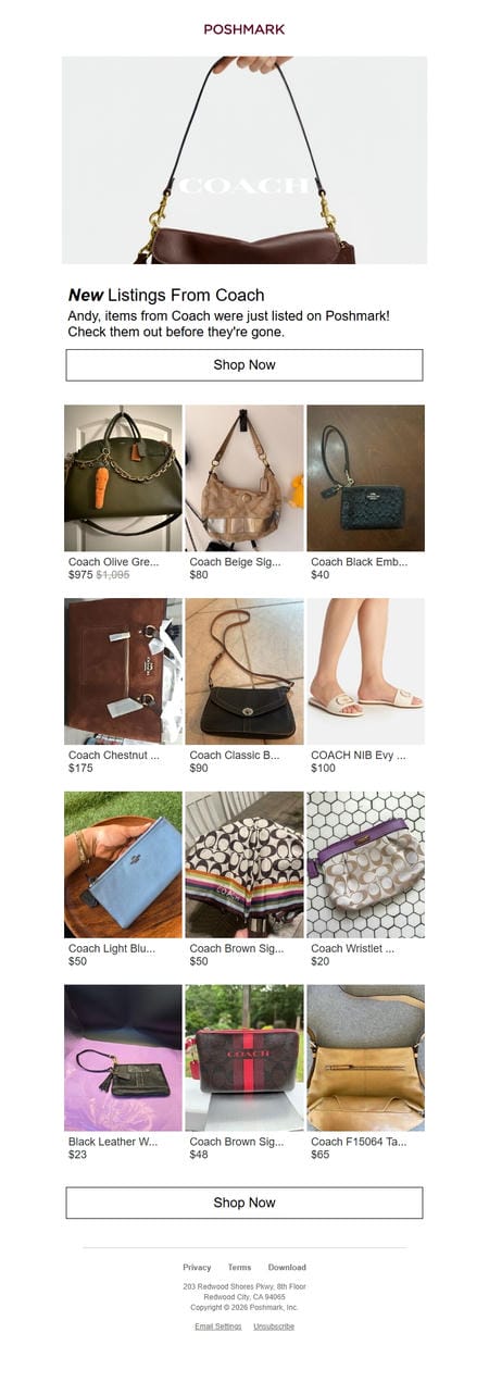 邮件模板创意 Poshmark Shopping 316