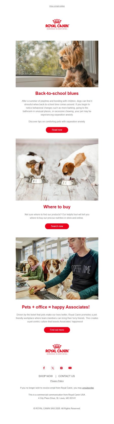 邮件模板创意 Royal Canin 5