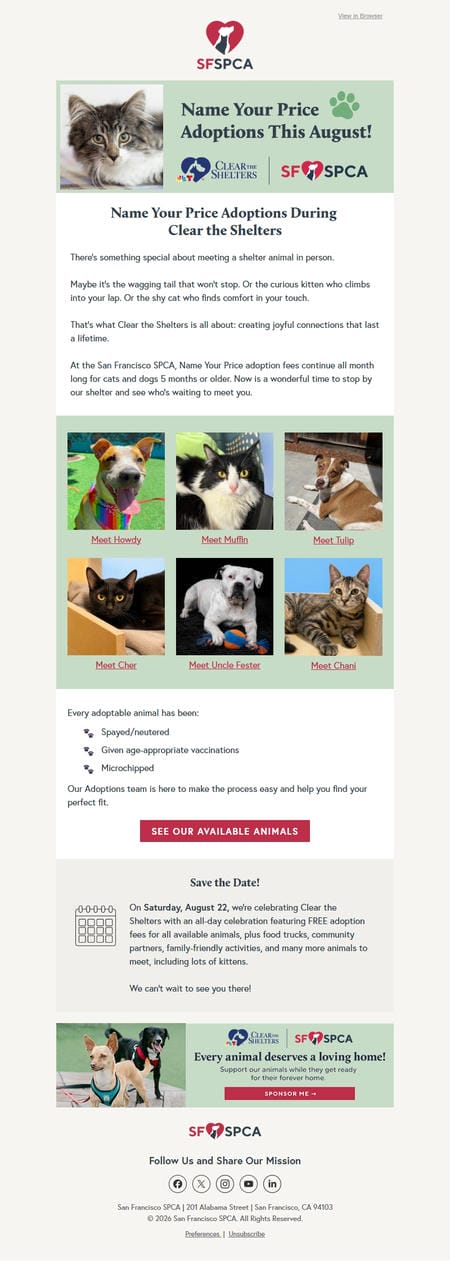 邮件模板创意 Sf Spca Adoptions 29