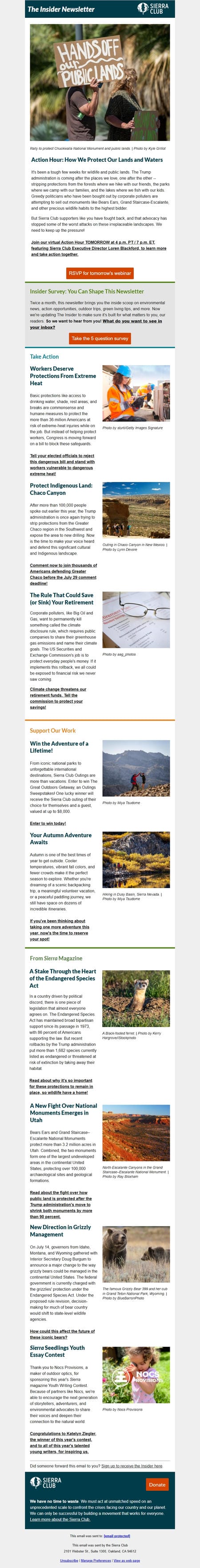 邮件模板创意 Sierra Club Insider 8