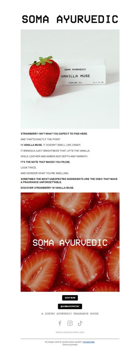 邮件模板创意 Soma Ayurvedic 142