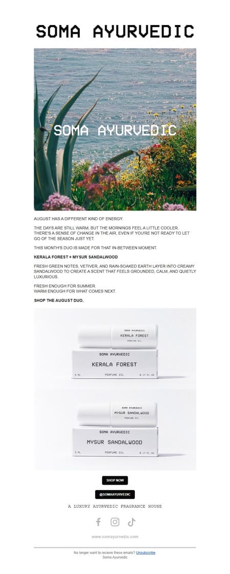 邮件模板创意 Soma Ayurvedic 147