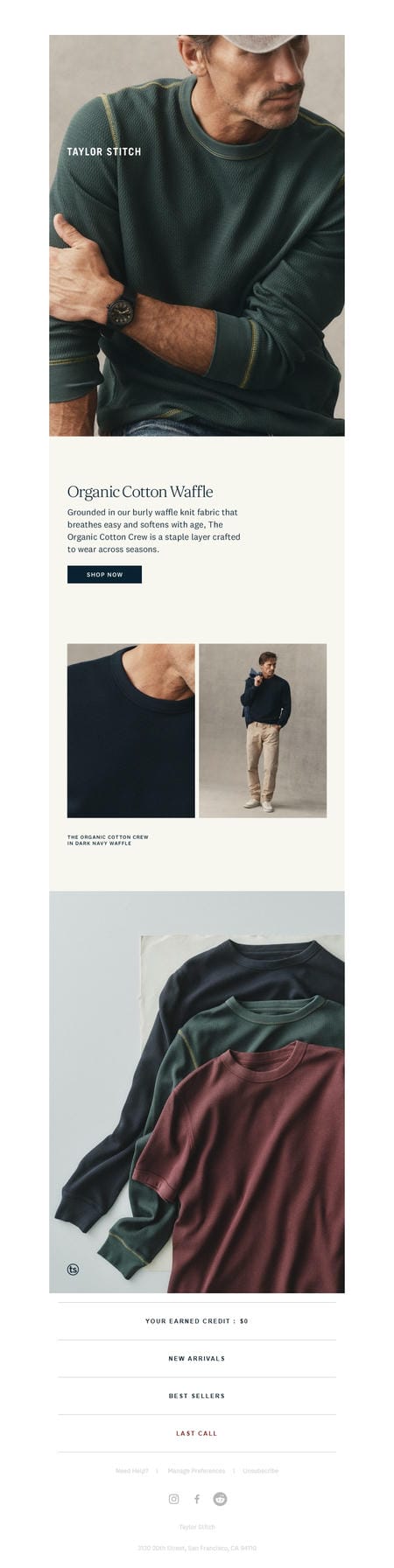 邮件模板创意 Taylor Stitch 338