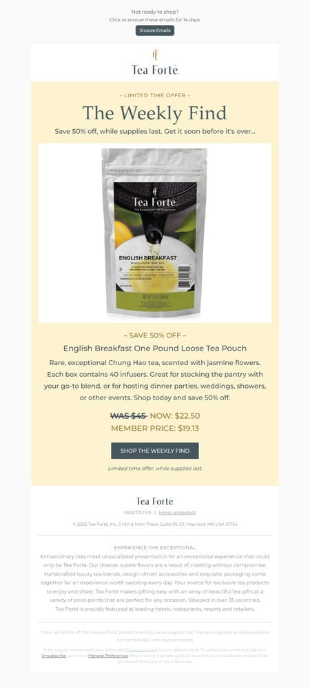 邮件模板创意 Tea Forte 10