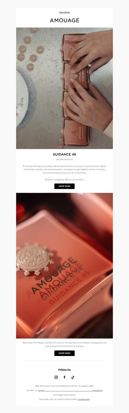邮件模板创意 The House Of Amouage 25