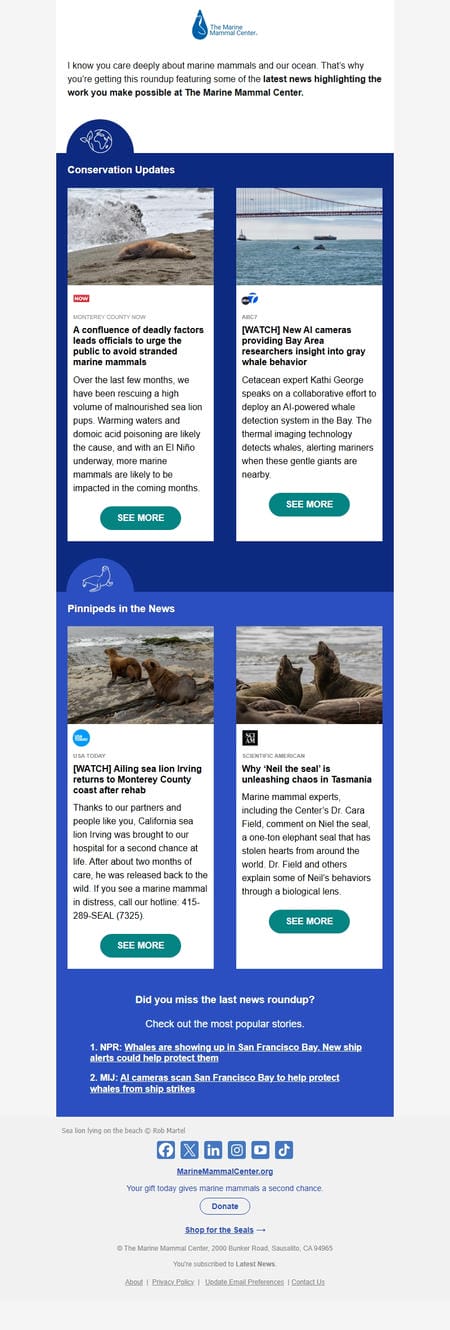 邮件模板创意 The Marine Mammal Center 3