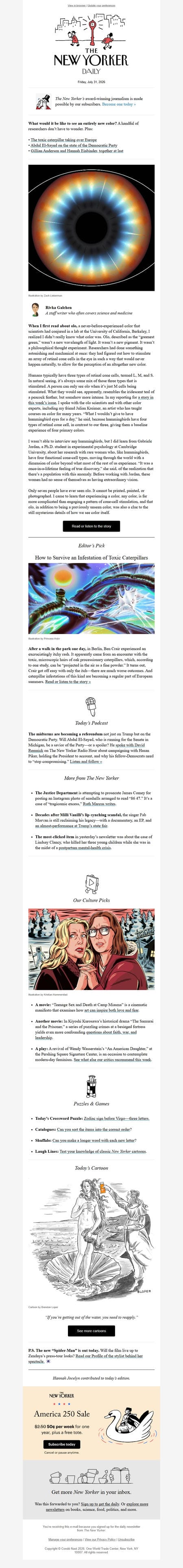 邮件模板创意 The New Yorker Daily 393