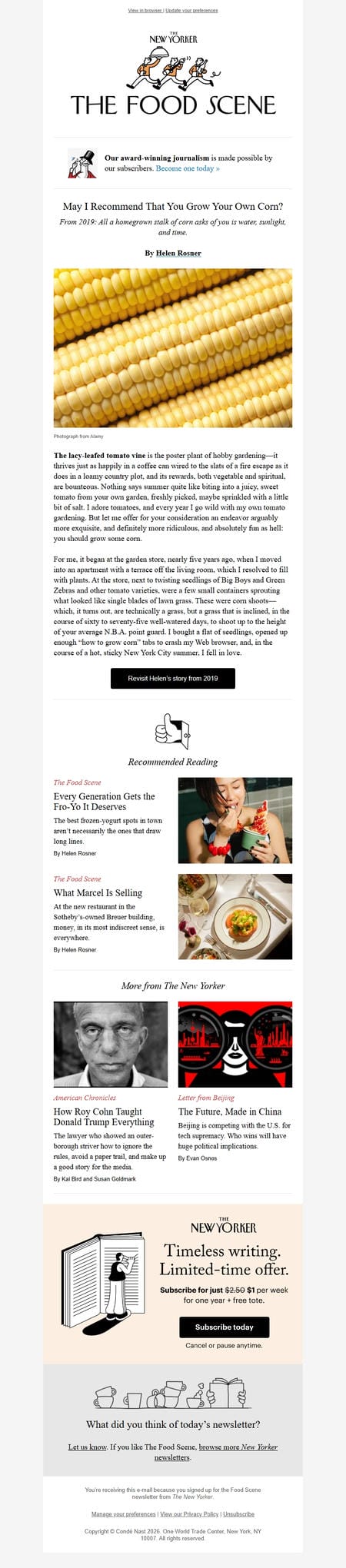 邮件模板创意 The New Yorker Food 54