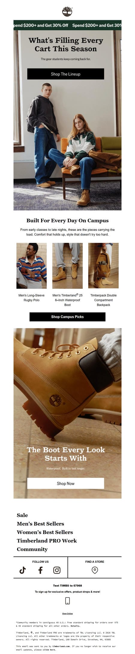 邮件模板创意 Timberland 210