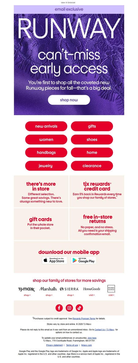 邮件模板创意 Tj Maxx Early Access 13