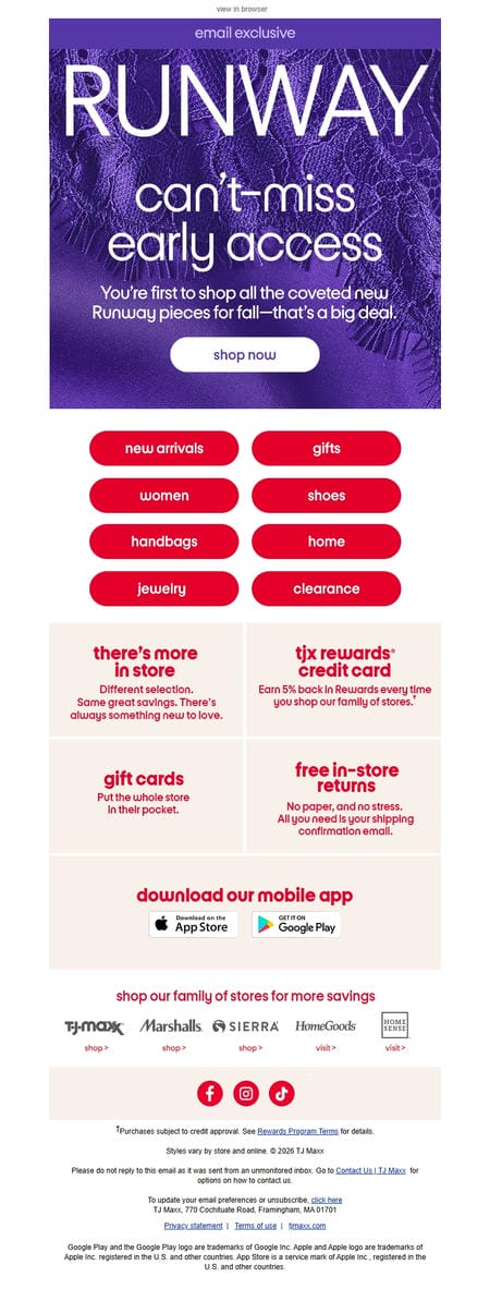 邮件模板创意 Tj Maxx Early Access 14