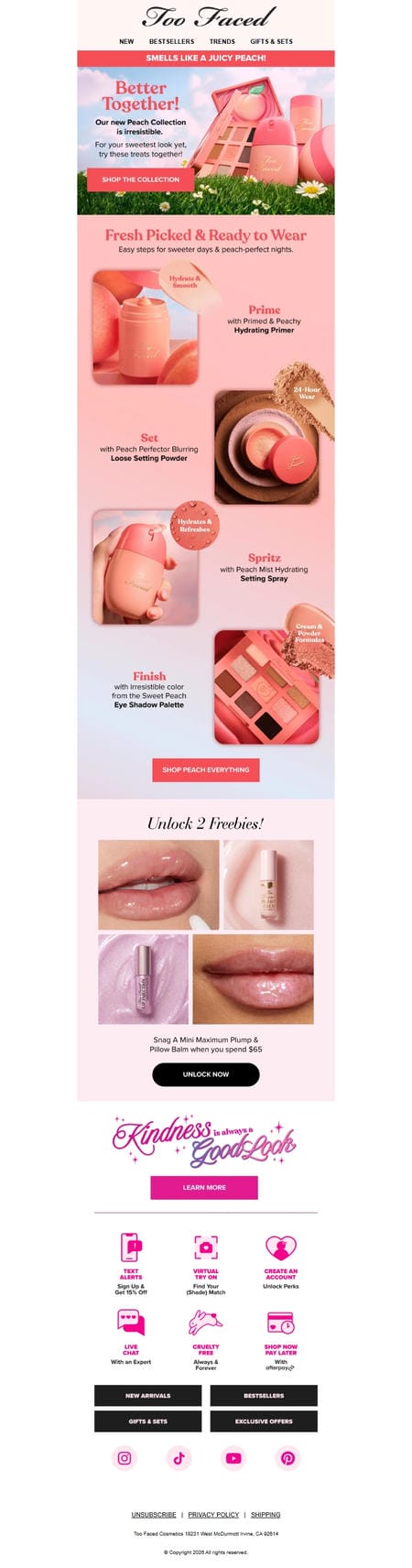 邮件模板创意 Too Faced Cosmetics 100
