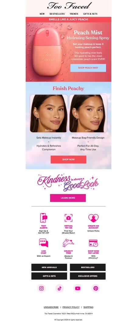 邮件模板创意 Too Faced Cosmetics 96