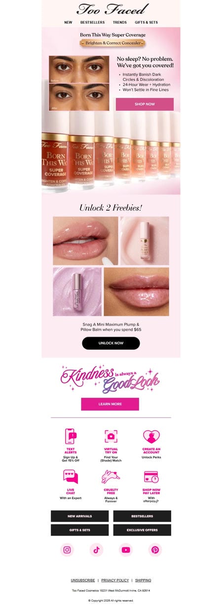 邮件模板创意 Too Faced Cosmetics 99