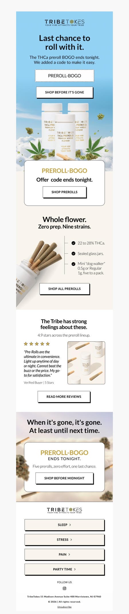 邮件模板创意 Tribetokes 57