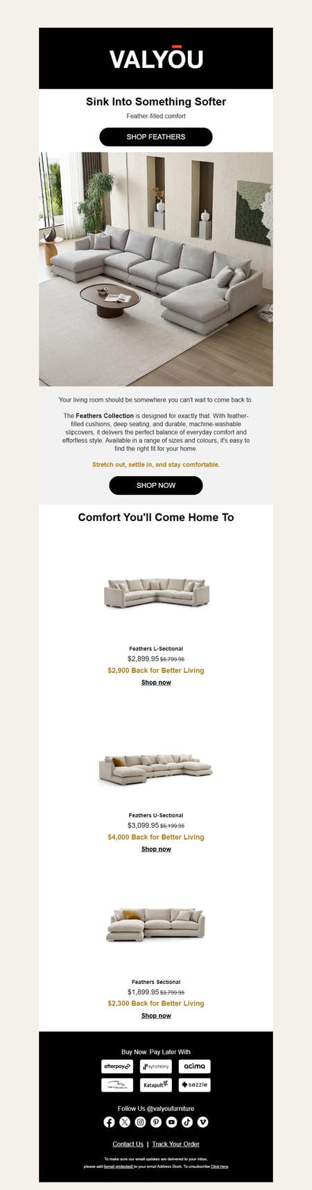 邮件模板创意 Valyou Furniture 34