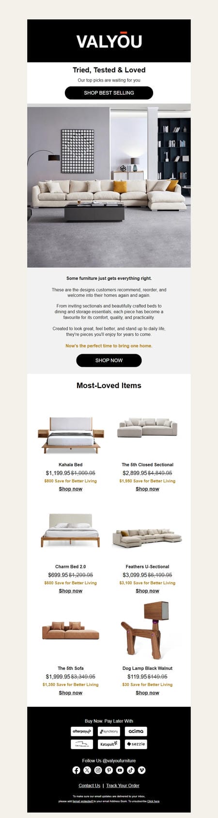 邮件模板创意 Valyou Furniture 37