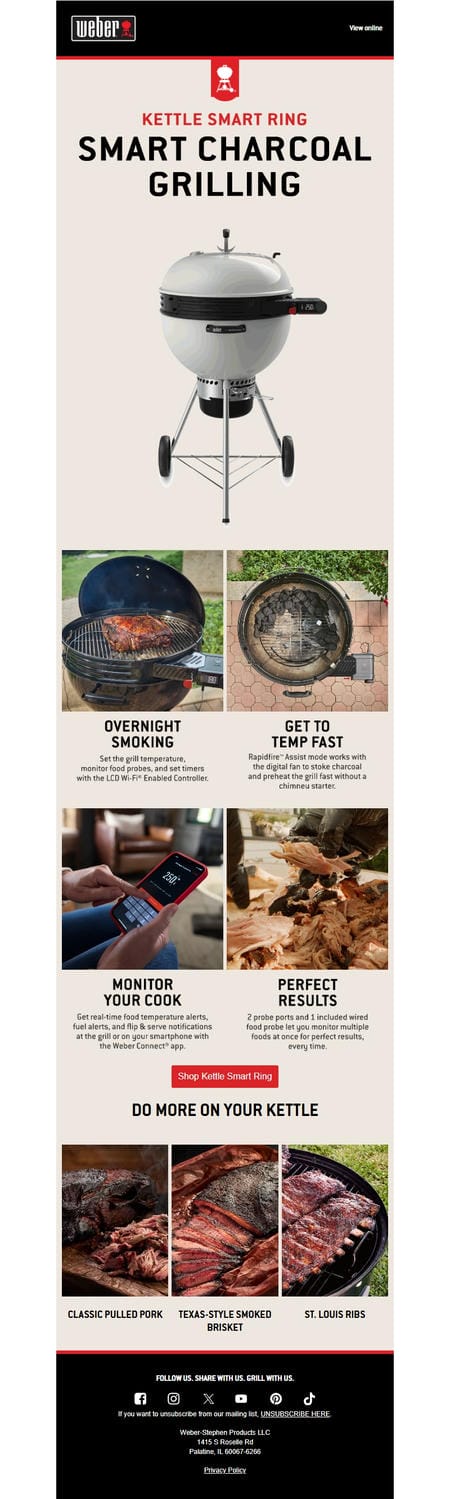 邮件模板创意 Weber Grills 118