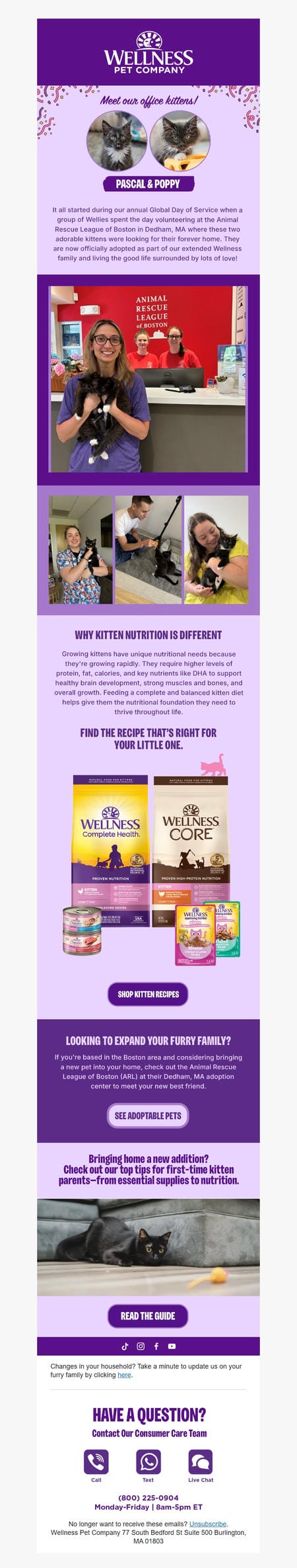 邮件模板创意 Wellness Pet Company 5
