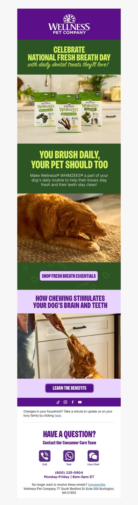 邮件模板创意 Wellness Pet Company 6