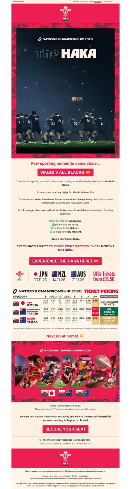 邮件模板创意 Welsh Rugby 190