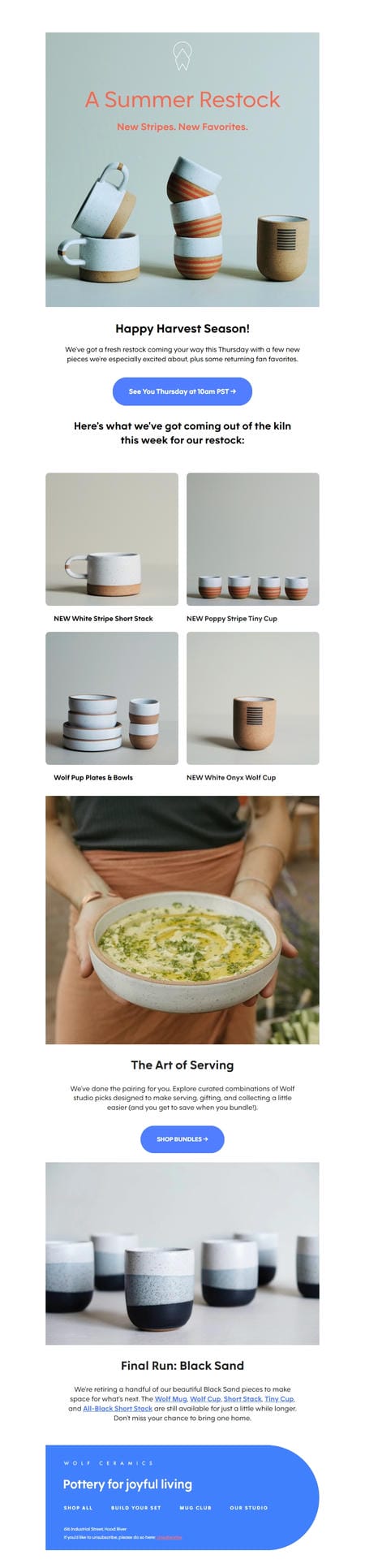 邮件模板创意 Wolf Ceramics 48