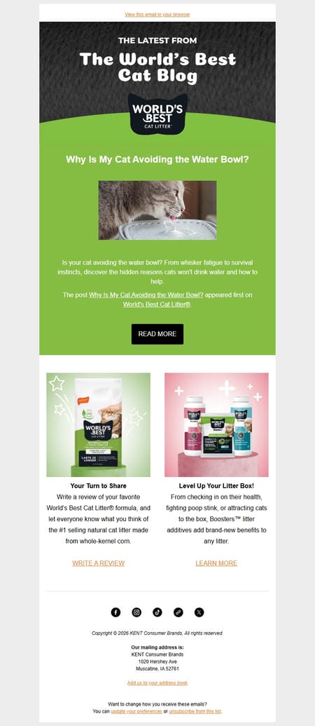 邮件模板创意 Worlds Best Cat Litter 25