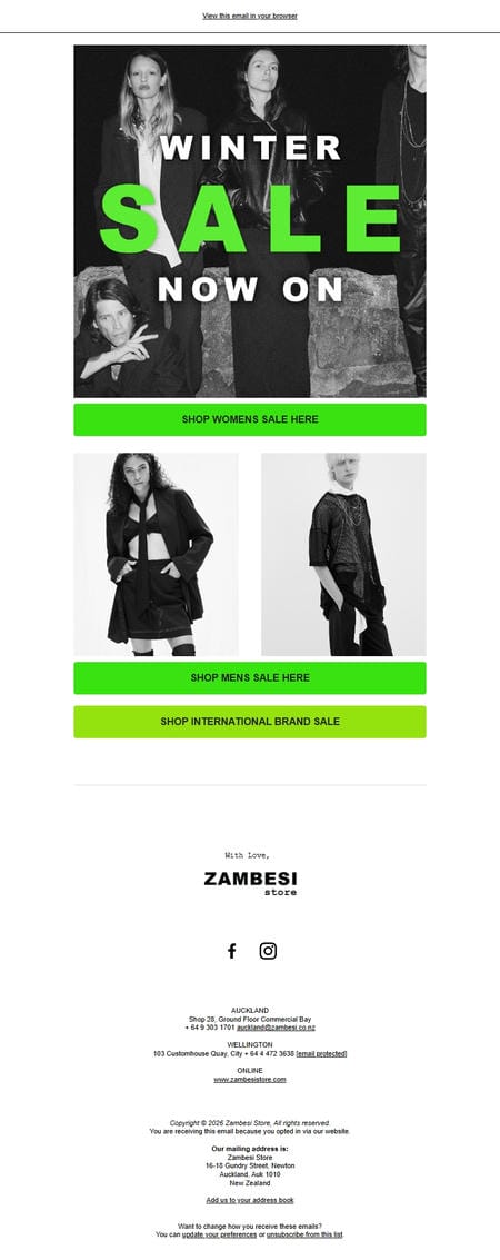 邮件模板创意 Zambesi 183
