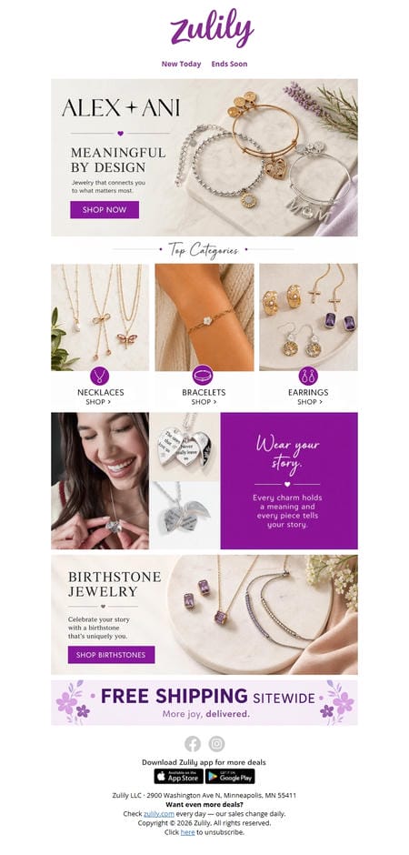 邮件模板创意 Zulily Vip 36